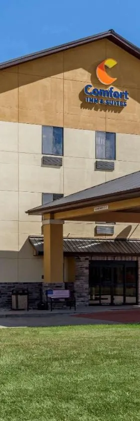 Comfort Inn & Suites Carbondale University Area，位于卡本代尔的酒店