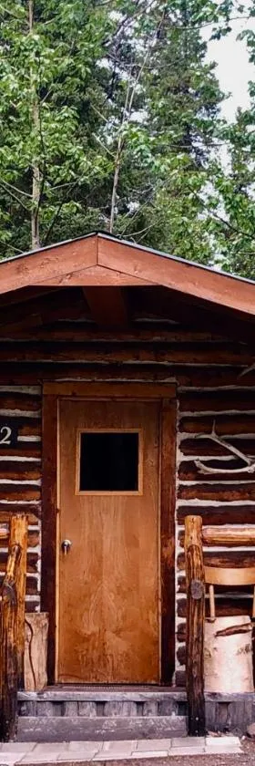 Carlo Creek Cabins，位于麦金利公园的酒店