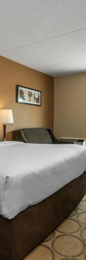 Comfort Inn，位于奥里利亚的酒店