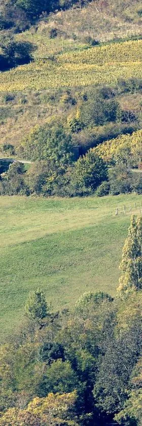 Les Billardes - le gite - Jura，位于Gizia的酒店