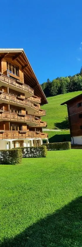 Appartement et studio, Val d'illiez，位于瓦尔·蒂利兹的酒店