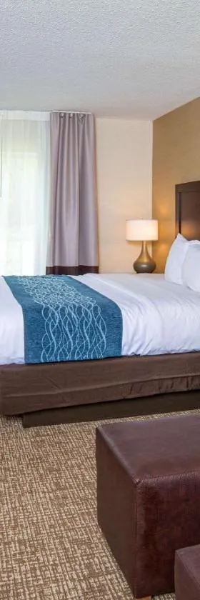 Comfort Inn Naugatuck-Shelton, CT，位于Naugatuck的酒店