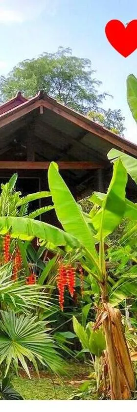 Pencave Homestay，位于Pang Mapha的酒店