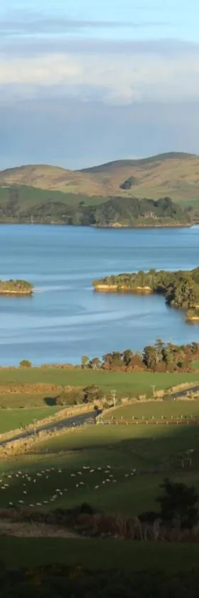 Niagara Ridge Retreat Catlins，位于Niagara的酒店