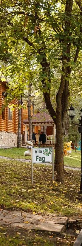 Sky Land Camping & Resort，位于基希讷乌的酒店