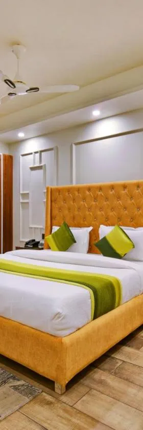 Hotel Blue Pearl - Free Airport Pick up，位于新德里的酒店