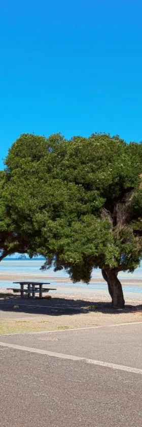 Discovery Parks - Whyalla Foreshore，位于怀阿拉的酒店