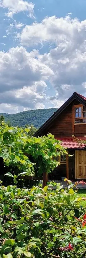 BRVNARE STOJIĆ，位于Kokin Brod的酒店