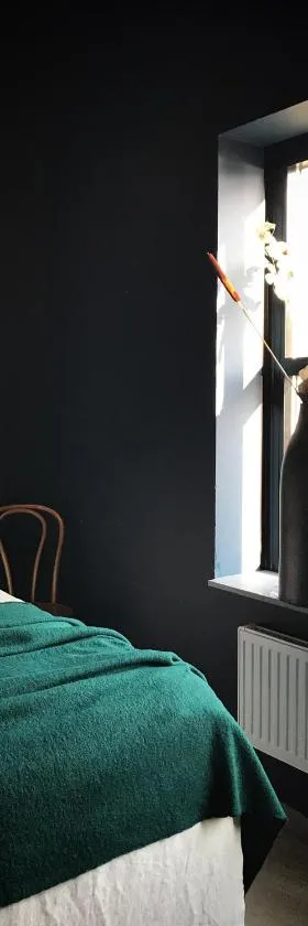 Sångbergs Hotell，位于Tranemo的酒店