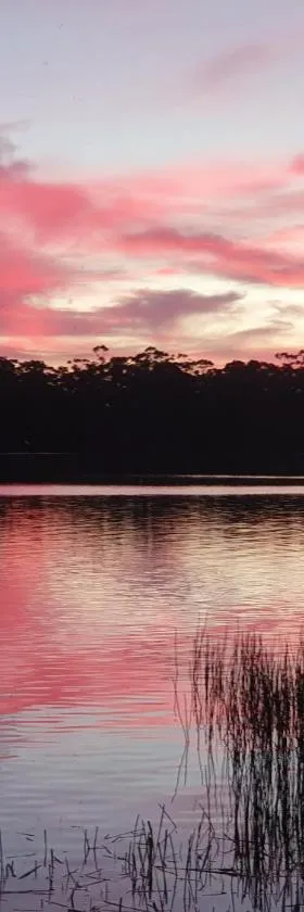 Lake Yalleena Nature Retreat，位于Lake Leake的酒店