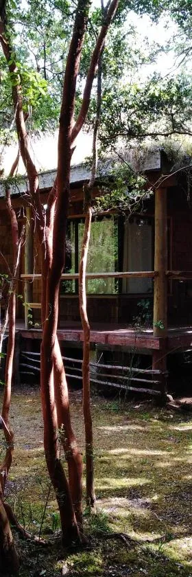 Cabaña en Río Puelo，位于Puelo的酒店