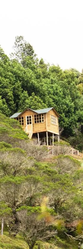 Paradise Glamping，位于Chocontá的酒店