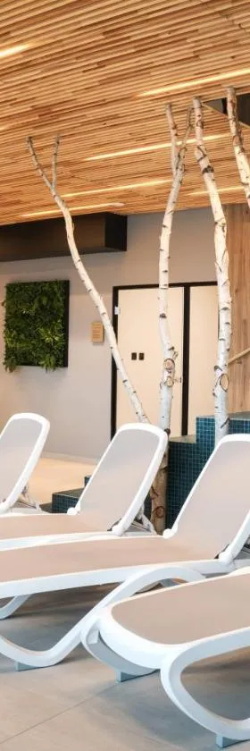Hotel Grey Spa，位于斯克拉斯卡波伦巴的酒店