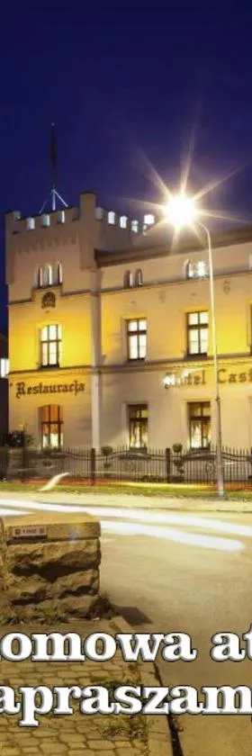 Hotel i Restauracja Castle，位于比斯的酒店