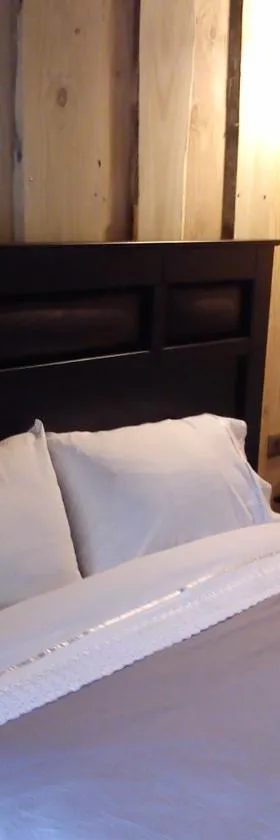 Hostal Los Alamos Neltume，位于内尔图梅的酒店