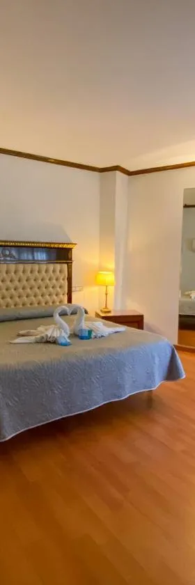 卡迪纳尔酒店，位于阿尔巴塞特的酒店