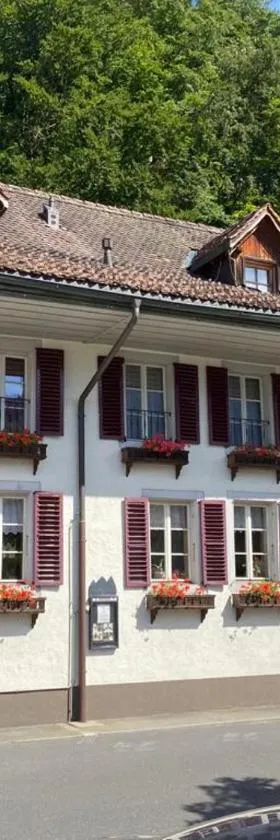Historic Hotel Steinbock，位于维尔德斯韦尔的酒店