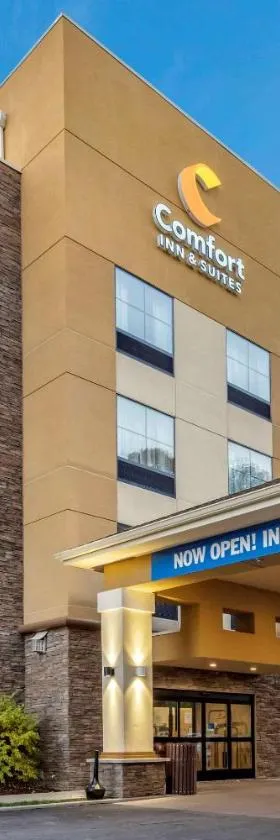 Comfort Inn & Suites Pittsburgh South，位于匹兹堡的酒店