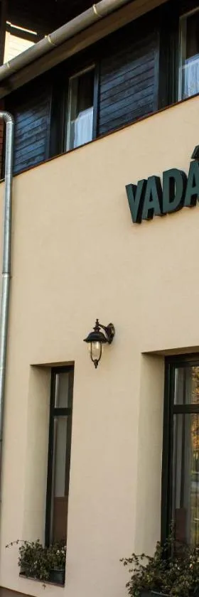 Vadász Panzió és Étterem，位于松博特海伊的酒店