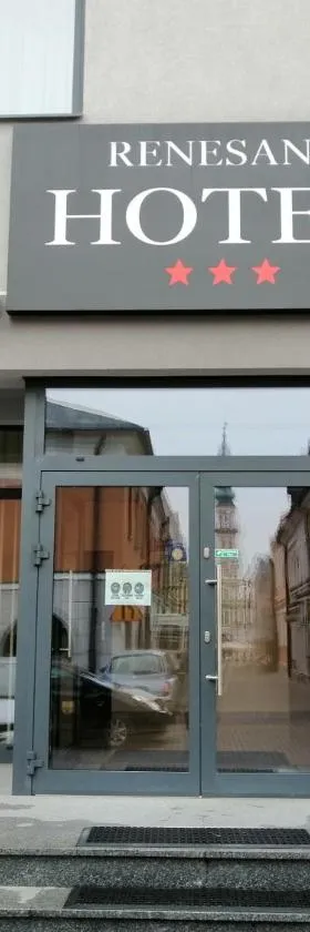 瑞内萨斯酒店，位于扎莫希奇的酒店