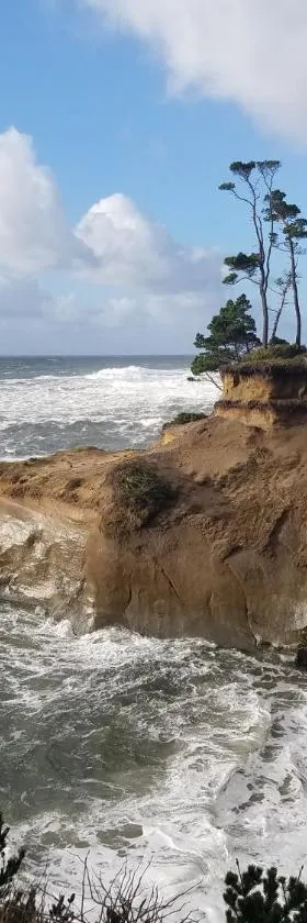Inn at Arch Rock，位于迪波湾的酒店
