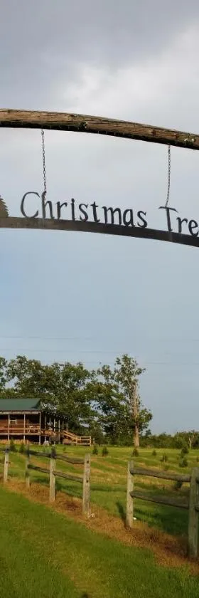 Rural life on a real Christmas tree farm! Hallmark experience!，位于欧扎克的酒店