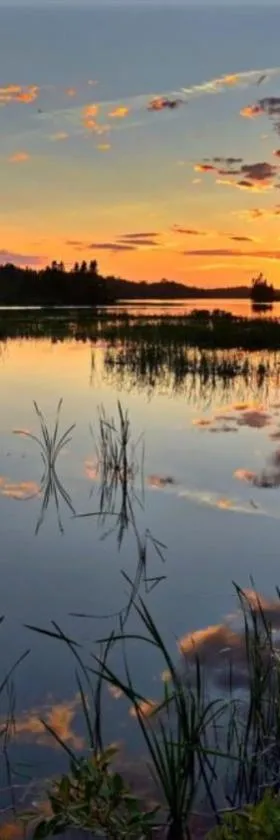 La Découverte, Jacuzzi, Sauna, et Terrasse avec vue sur lac à la campagne entre Toulouse et Auch，位于Catonvielle的酒店