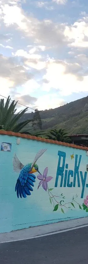 Ricky's House，位于巴尼奥斯的酒店