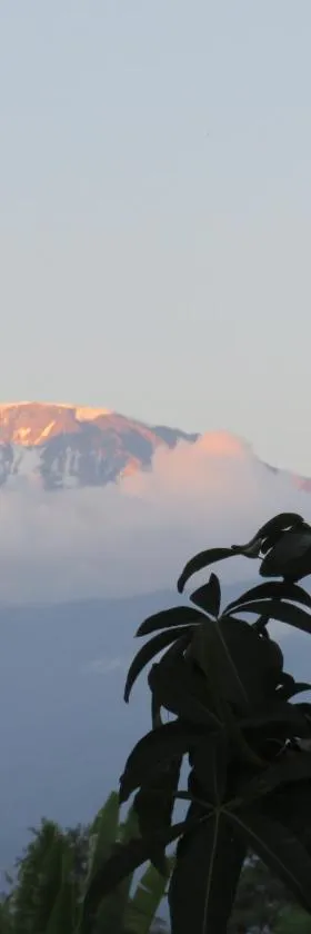 Kilimanjaro White House Hotel，位于莫希的酒店