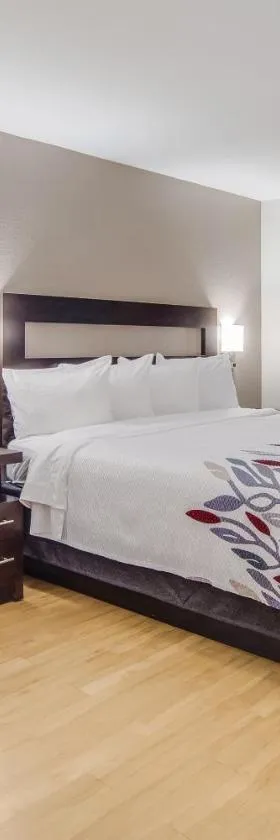 Red Roof Inn St George, SC，位于圣乔治的酒店
