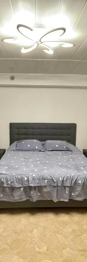 Appartement dans maison à Corbelin proche Walibi，位于Corbelin的酒店
