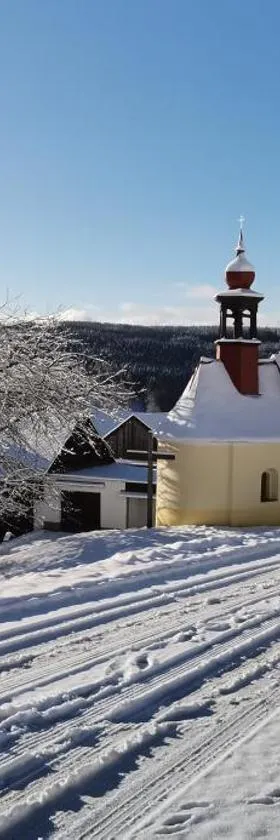 hotel ZLATÝ POTOK，位于Nicov的酒店