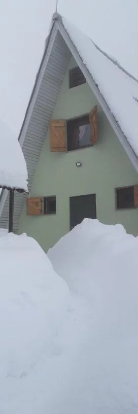 Golija Vikendica Česta Vrela，位于Raška的酒店