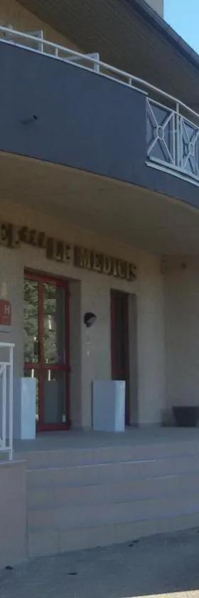 美迪斯酒店，位于伊泽尔省鲁西永的酒店