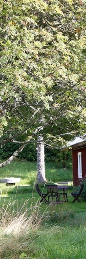 Lilla Halängen cottages，位于Dalskog的酒店