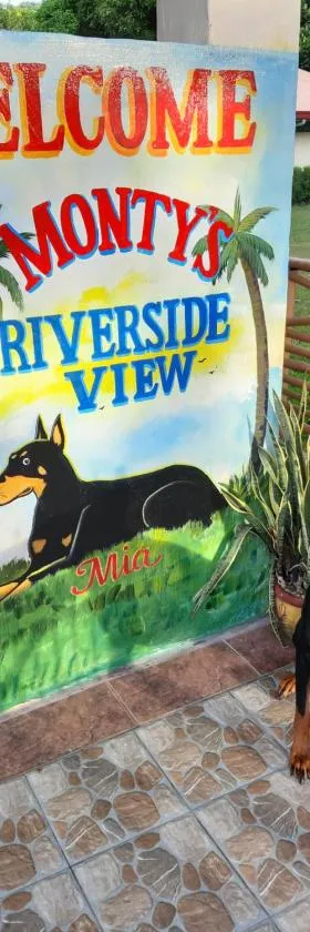 Monty's Riverside View Resort，位于圣安东尼奥的酒店