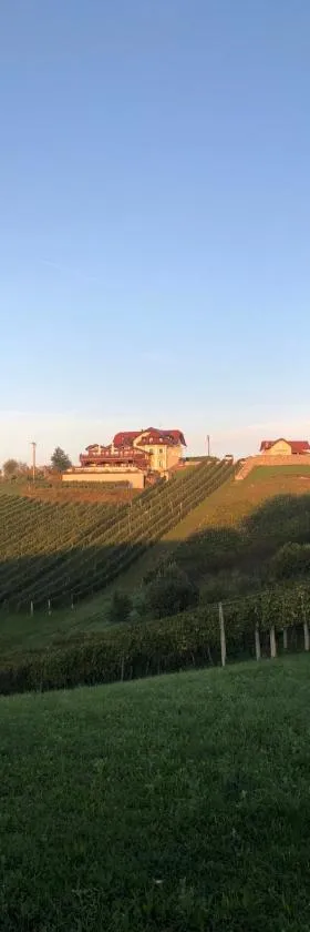 B&B OPG Culig，位于Ozalj的酒店