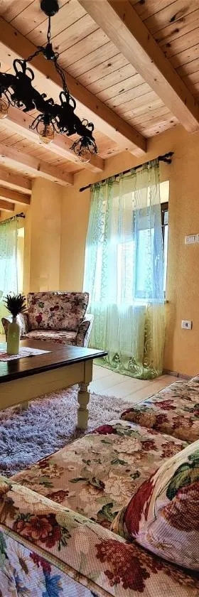 Apartman "Ela"，位于弗济内的酒店