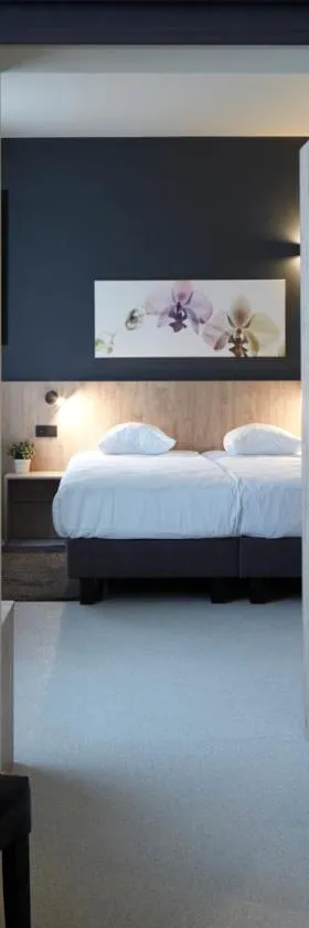 Alpha Hotel and Aparthotel，位于蒂嫩的酒店