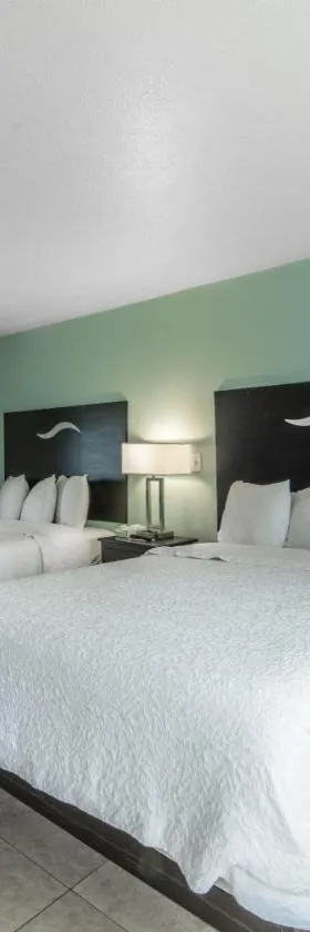 Everglades City Motel - Everglades Adventures Inn，位于大沼泽地市的酒店