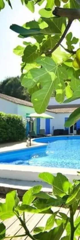 La Villa du Menhir Gîte，位于比兹米内瓦的酒店