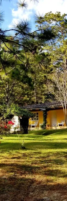 Cabañas Bosque llano de la Virgen，位于Intibucá的酒店