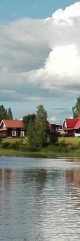 Gammal Stugan SKOGSFEEN，位于Ytterhogdal的酒店