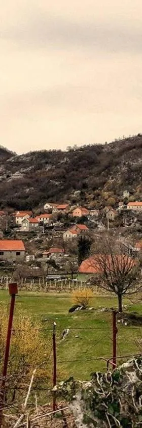 house on the hill，位于采蒂涅的酒店