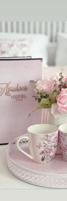 Hotel Amadeus，位于捷克布杰约维采的酒店