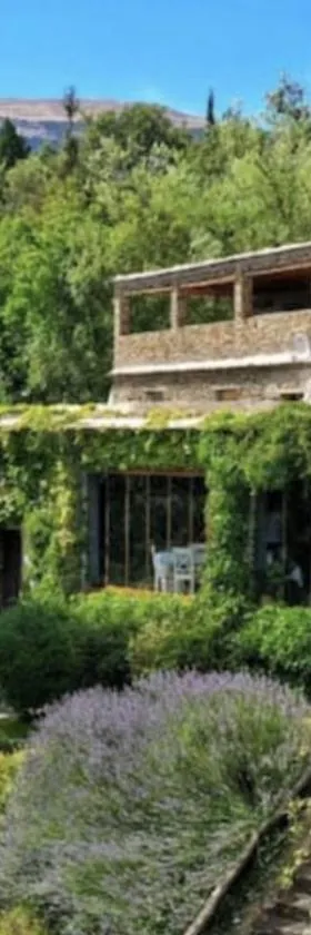 Casa Rural Catifalarga Alpujarra，位于卡皮雷拉的酒店