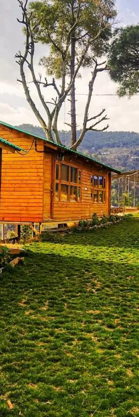 Golden valley cottages, Chail，位于柴尔的酒店