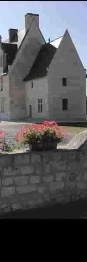 Chateau Manoir de Chandoiseau，位于Les-Trois-Moutiers的酒店