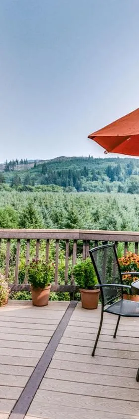 Misty Valley Inn，位于福克斯的酒店