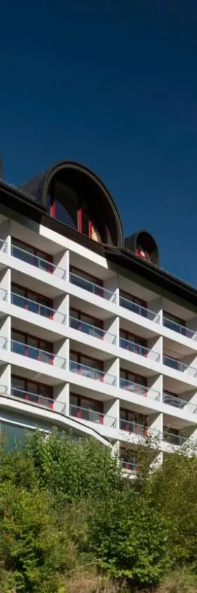 Hotel Waldegg - Adults only，位于英格堡的酒店